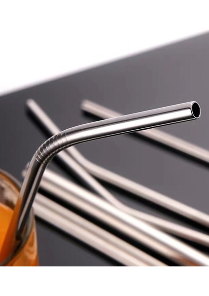 5 Parçalı Metal Soğuk Pipet Temizleme Fırçası Ile Birlikte Pipet