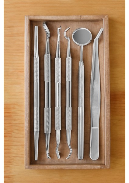 Kutulu 6 Parça Ağız Bakım Seti, Profesyonel Ağız Hijyen Takımı Seti Ağız Ve Diş Sağlığ