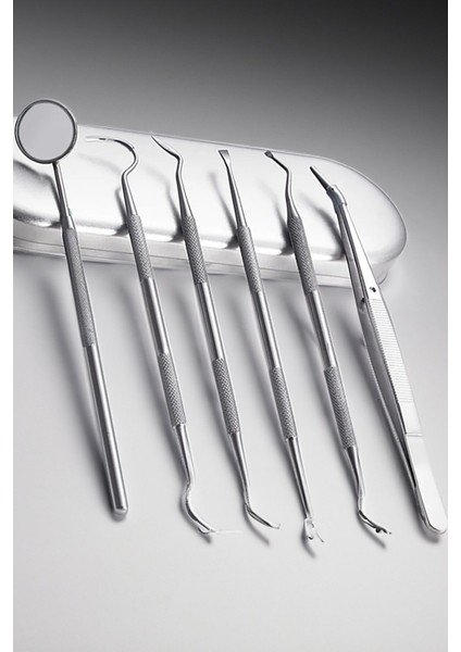 Kutulu 6 Parça Ağız Bakım Seti, Profesyonel Ağız Hijyen Takımı Seti Ağız Ve Diş Sağlığ fiyatları