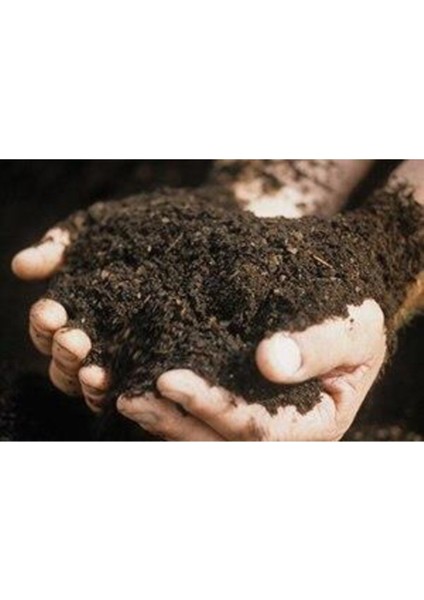 Saksı Bahçe Çim Lavanta Gül Toprağı 15 Kğ modelleri