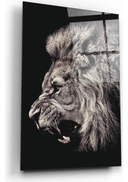 - Aslan Cam Tablo