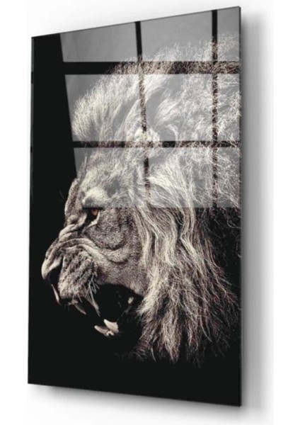 - Aslan Cam Tablo