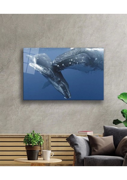 - Balıklar Sualtı Cam Tablo fiyatları