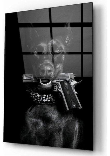 - Köpek Cam Tablo fiyatları