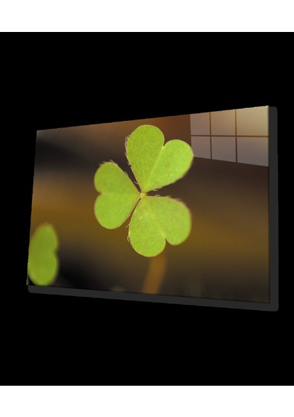 - Üç Yapraklı Yonca Yeşil Cam Tablo