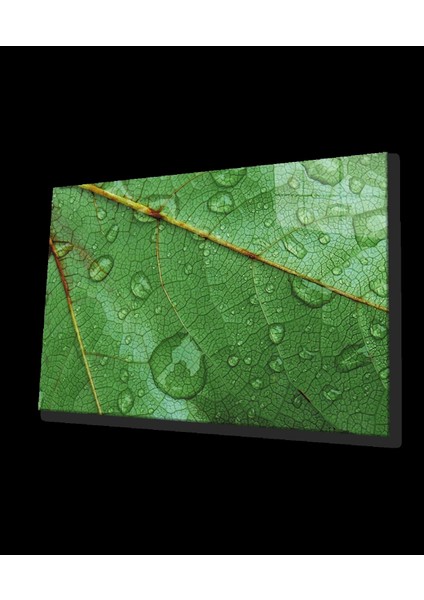 - Su Damlası Yaprak Yeşil Cam Tablo