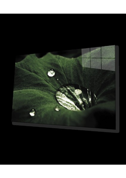 - Yeşil Yapraklar Su Damlası Cam Tablo