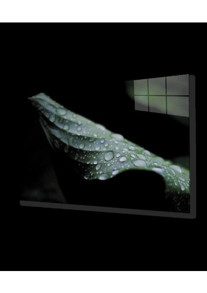 - Su Damlası Yaprak Yeşil Cam Tablo