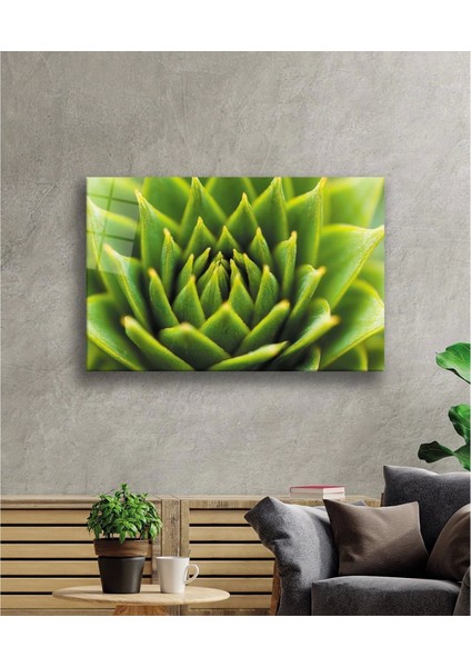 - Yeşil Bitki Green Plant