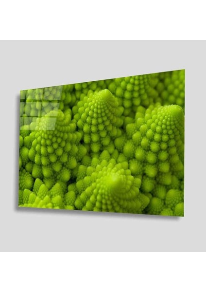 - Yeşil Bitki Green Plant