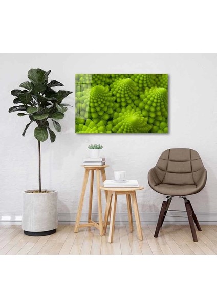- Yeşil Bitki Green Plant