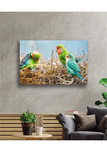 - Papağanlar Cam Tablo fiyatları