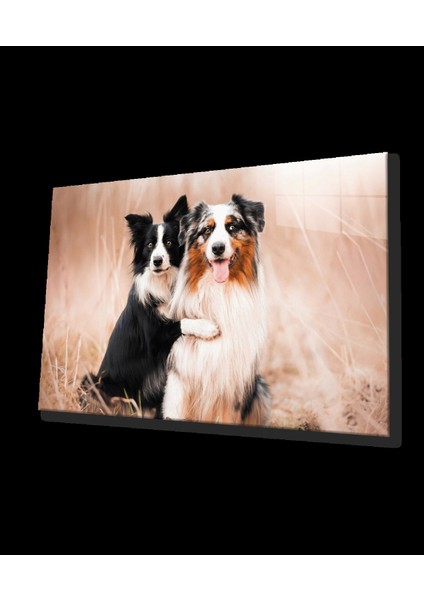 - Köpekler Cam Tablo