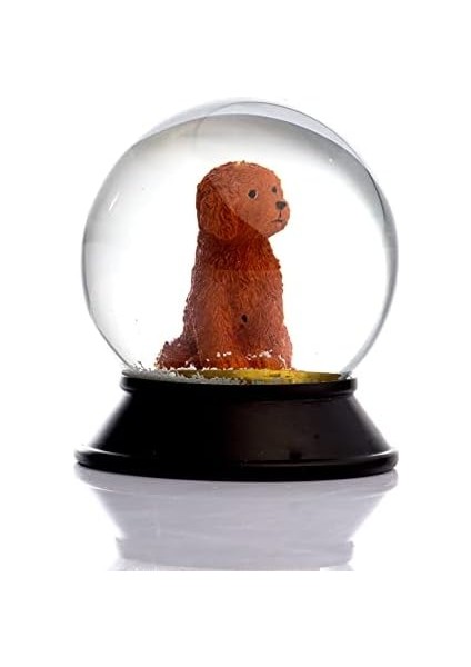 Cam ve Reçine Altın Patiler Köpek Toy Poodle (Tarçın) Kar Küresi Hediye