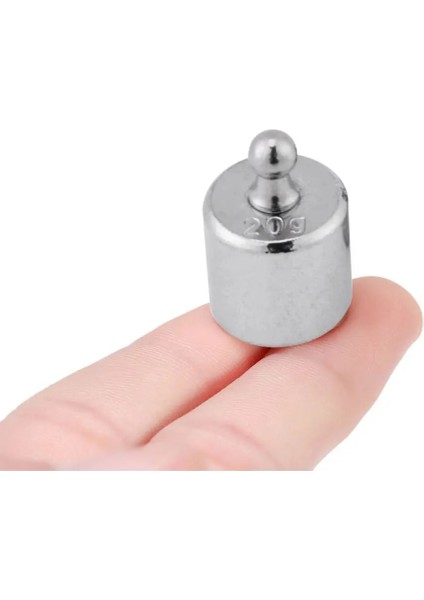 5 Adet Bölünmüş Ağırlıklar Kalibrasyon Elektronik Terazi Standart Ağırlıklar Karbon Çelik Denge Laboratuvar Ağırlığı (Yurt Dışından) fiyatları