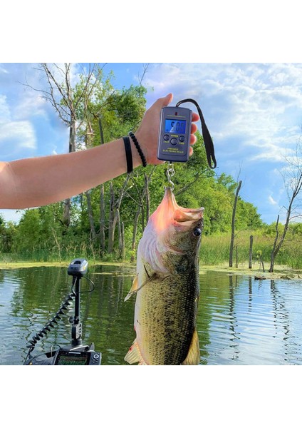 40 kg x 10G 1 Pc Elektronik Asılı Balıkçı Terazisi Çok Fonksiyonlu Mini Ağırlık Kanca Ölçeği 40 KG/10G Taşınabilir Dijital Açık Bagaj Terazileri (Yurt Dışından) fırsatları