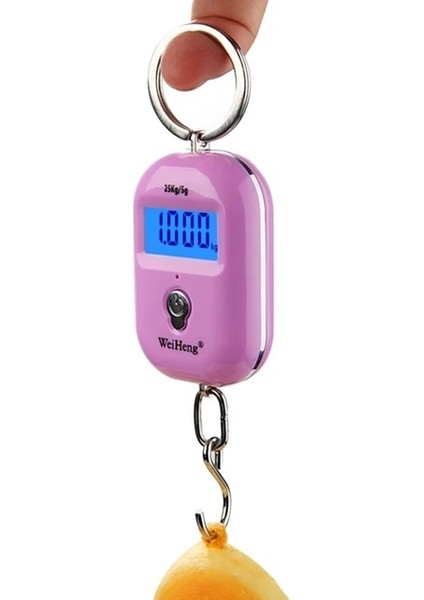 Pembe Weiheng 25 kg 5g Mini Dijital Cep Ölçeği Taşınabilir Bagaj Kanca Terazi LCD Arka Işık Mutfak Asılı Çelikhane Ağırlık Dengesi (Yurt Dışından)