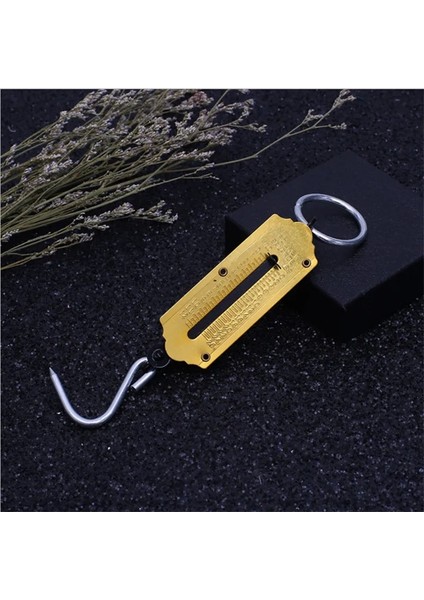 12 kg Taşınabilir Mekanik Terazi Kanca Dikey Yaylı Makine Terazi Taşınabilir Mini Pointer Ölçeği Gram Ölçeği (Yurt Dışından)