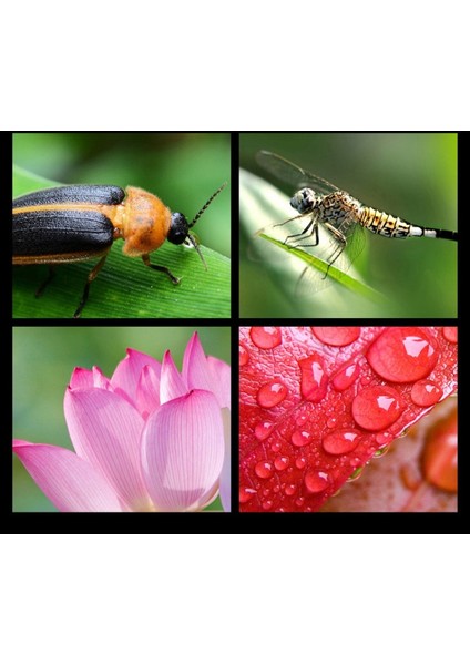 Bilgelik Siyah 2023 Yeni 2'si 1 Arada Evrensel Telefon Lensi 0,45X Ultra Geniş Açı 12,5x Makro Hd Kamera Lensi (Yurt Dışından) fırsatları