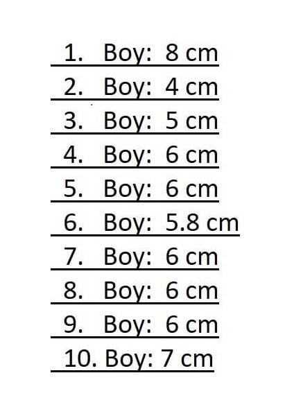 Arma Hayvanlar 10 Adet modelleri