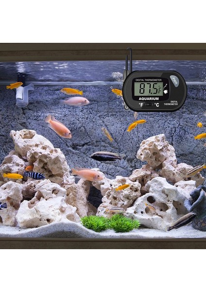 Sarı St-3 Su Geçirmez Elektronik Dijital Termometre Akvaryum Balık Tankı Banyo Sıcaklık Sensörü Ölçer Sıcaklık Monitör Dedektörü (Yurt Dışından) indirimleri