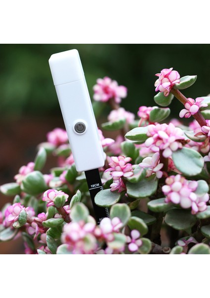 Beyaz Toprak Nem Ölçer Sıcaklık Nem Test Cihazı Bahçe Ölçme Aracı Toprak Nemi Ölçer Higrometre Probu Sulama Testi (Yurt Dışından) fırsatları