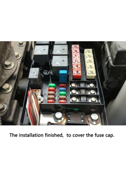 1 Adet 10A Devre 1 Adet Devre Kesici Bıçaklı Sigorta 12V 24V Sıfırlanabilir 5-30A Deniz Rvs Otomatik Sıfırlama Termal Devre Kesici Araba Bıçak Sigorta Kutusu (Yurt Dışından) modelleri