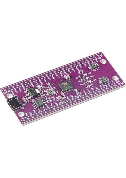 W806 Kurulu W806 Mikrodenetleyici 240MHZ 5-8bit STM32 Geliştirme Kurulu CH340 Iot Mcu Çip Cdk Geliştirme Ortamı Düşük Güç Iot (Yurt Dışından)