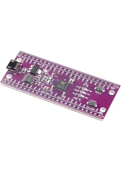 W806 Kurulu W806 Mikrodenetleyici 240MHZ 5-8bit STM32 Geliştirme Kurulu CH340 Iot Mcu Çip Cdk Geliştirme Ortamı Düşük Güç Iot (Yurt Dışından)