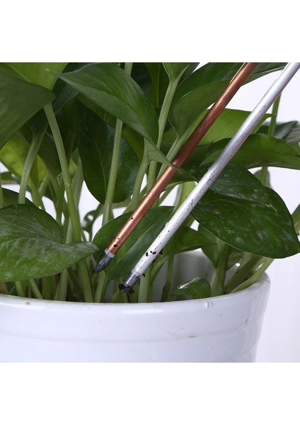 L 3'ü 1 Arada Toprak Ph Ölçer Saksı Higrometre Toprak Test Cihazı Bitki Nem Ölçer (Yurt Dışından) fırsatları