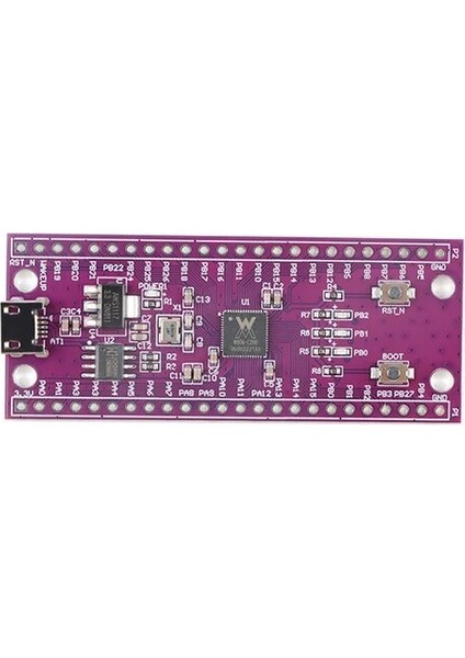 W806 Kurulu W806 W801 W800 Geliştirme Kartı W806 W801 W800 Mikrodenetleyici 32-Bit Soc Iot Mcu W801-C400 W806-C200 W806-KIT (Yurt Dışından)