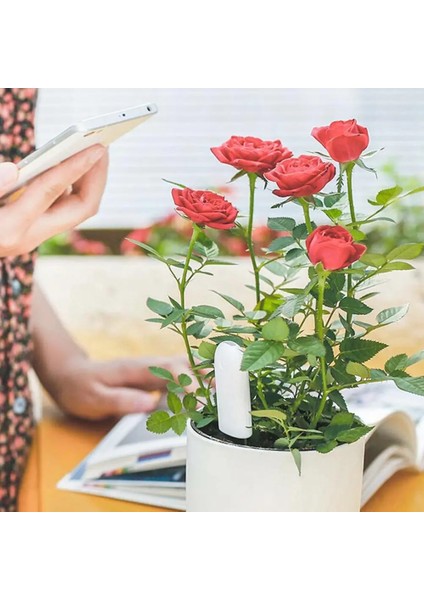 B Bluetooth Olmadan Toprak Nem Sensörü Uluslararası Sürüm Mi Flora Monitör Bahçe Tesisi Çim Çiçek Bakımı Toprak Dikim Nem Ölçer Dedektörü (Yurt Dışından) modelleri