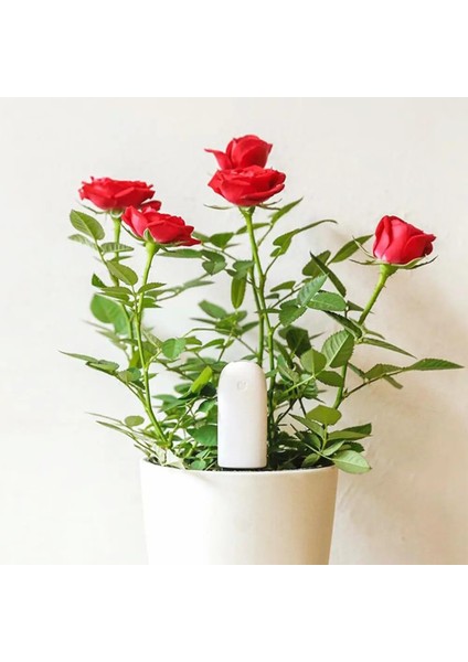 B Bluetooth Olmadan Toprak Nem Sensörü Uluslararası Sürüm Mi Flora Monitör Bahçe Tesisi Çim Çiçek Bakımı Toprak Dikim Nem Ölçer Dedektörü (Yurt Dışından) fırsatları