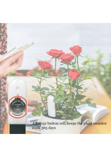 B Bluetooth Olmadan Toprak Nem Sensörü Uluslararası Sürüm Mi Flora Monitör Bahçe Tesisi Çim Çiçek Bakımı Toprak Dikim Nem Ölçer Dedektörü (Yurt Dışından) indirimleri
