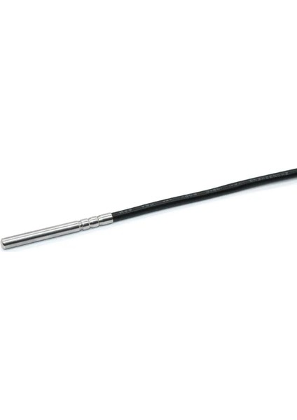 2 Telli Tip 4 Metre -50~100'C PT100 Sensörü Su Geçirmez Termal Direnç Sensörleri 304 Paslanmaz Çelik 5*50MM PT100 Sıcaklık Sensörleri (Yurt Dışından)