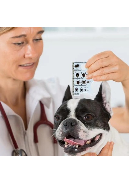 Insanlar Için Kene Kartı Köpekler Için Kene Sökücü Insanlardan ve Evcil Hayvanlardan Keneleri Yavaşça Kaldırmak Için Büyüteçli Taşınabilir Kene Kartı (Yurt Dışından)