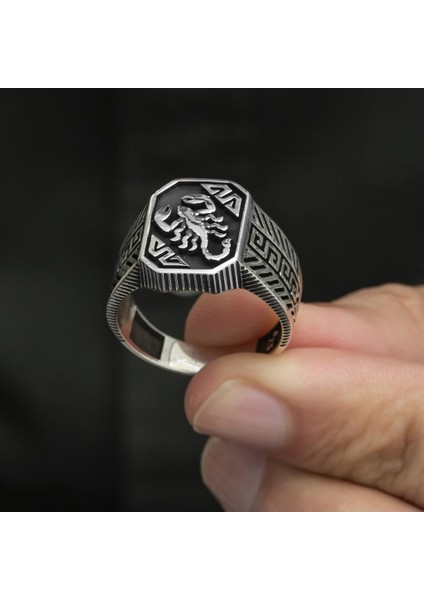Akrep Desenli Taşsız 925 Gümüş Erkek Yüzük fiyatları