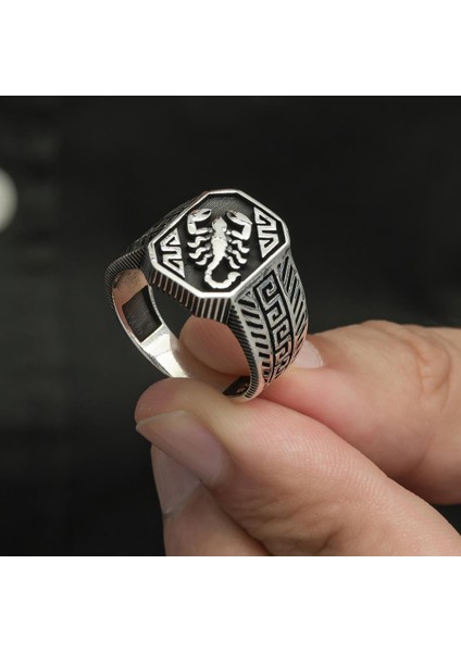 Akrep Desenli Taşsız 925 Gümüş Erkek Yüzük fırsatları