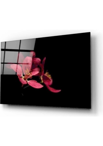 - Çiçek Cam Tablo