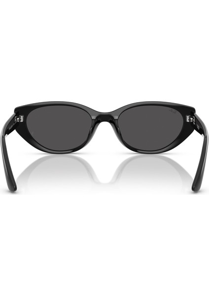 RB4457D 667787 55 Unisex Güneş Gözlüğü