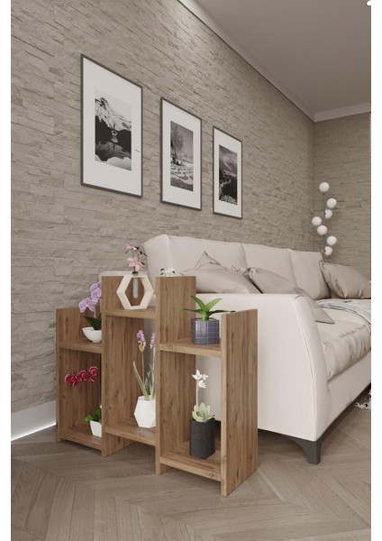 Wood Aria Yan Sehpa, Bitki Standı, Çok Amaçlı Yan Sehpa, Kitaplık