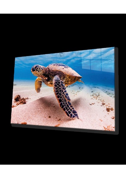 - Deniz Kaplumbağası Hayvan Portresi Cam Tablo