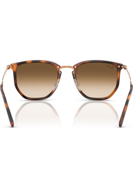 RB4451 680451 53 Unisex Güneş Gözlüğü modelleri