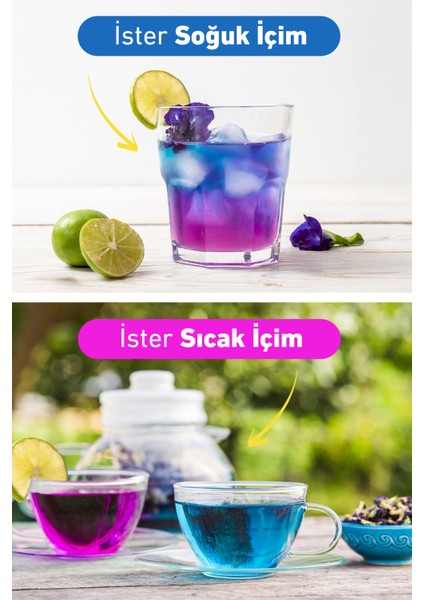 Mavi Kelebek Sarmaşığı Bitkisi 30 gr