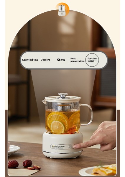 600ML Termostatik Su Isıtıcısı Güveç ve Pişirme Su Isıtıcısı (Yurt Dışından)