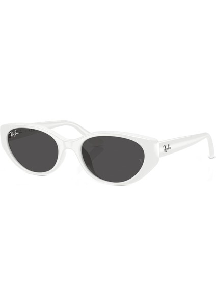 RB4457D 677287 55 Unisex Güneş Gözlüğü