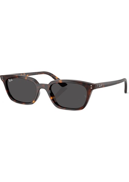 RB4456 135987 50 Unisex Güneş Gözlüğü
