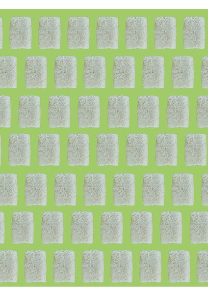 Doğal Kabak Lifli Aloe Vera Özlü Sabun fiyatları