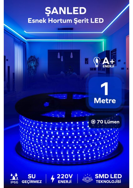 Hortum Esnek Şerit LED Mavi + 220V FIŞ/1,2,3,4,5,10,15,20,25,50,100 Metre