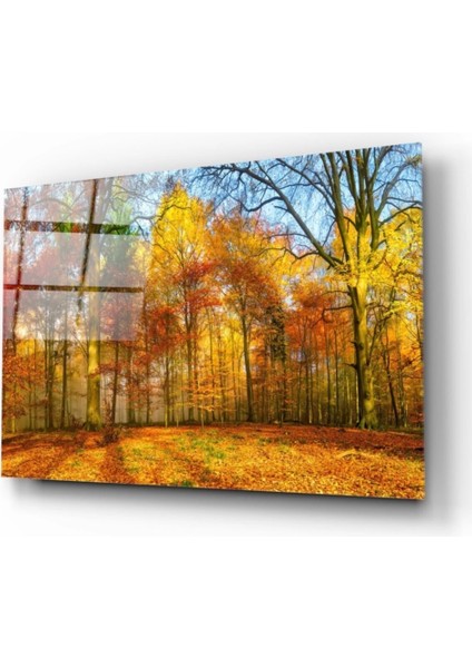 - Orman Cam Tablo fiyatları